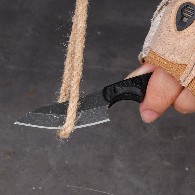 5CR15 Stainless Steel Small Fi - Edc Carry Fixed Blade review and price