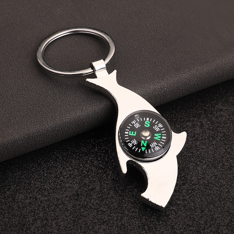 Unique Nautical Compass Keycha - Compass Keychain Mini review and price